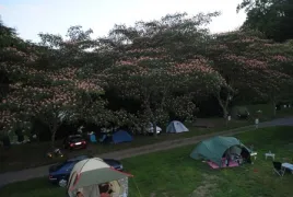 Camping - Lourdes - Midi-Pyrénées - L'Arrouach