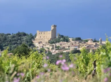 Camping - Châteauneuf-du-Pape - Provence-Alpes-Côte d'Azur - l'Art de Vivre
