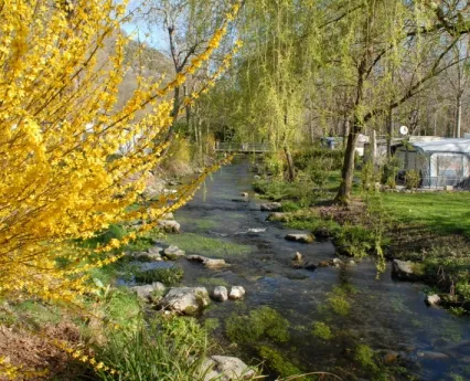 Camping - Bielle - Aquitaine - l'Ayguelade