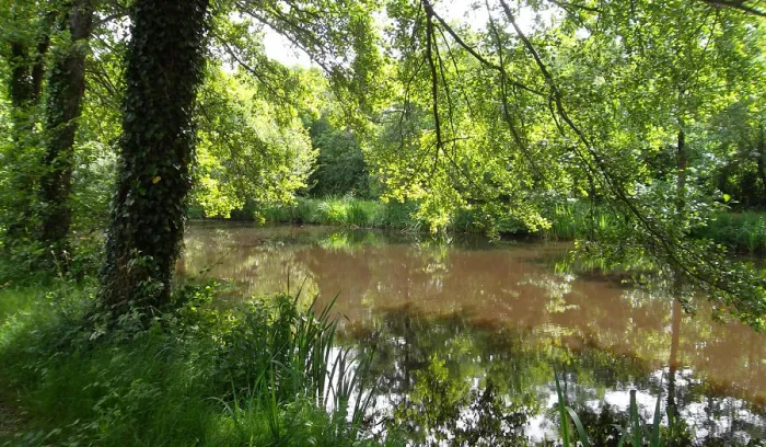 Camping - Avrillé - Pays de Loire - le Beauchêne