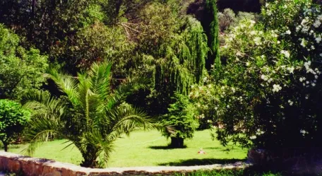 Camping - Carqueiranne - Provence-Alpes-Côte d'Azur - Le Beau Vezé