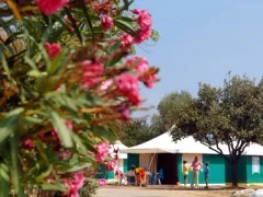 Camping - Belgodère - Corse - Le Belgodère