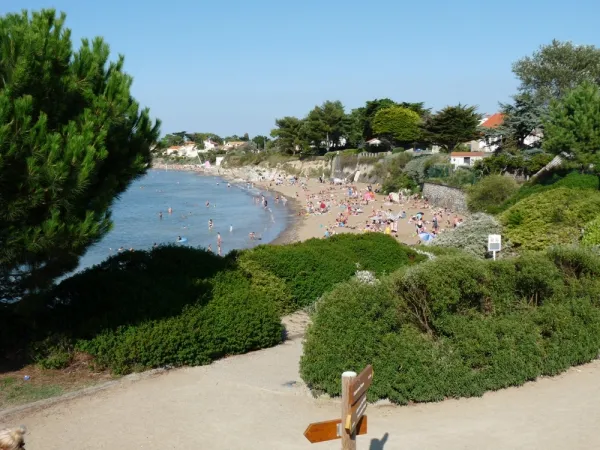 Camping - La Plaine-sur-Mer - Pays de Loire - Le Bernier