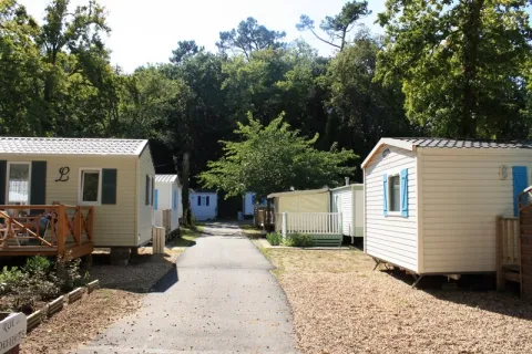 Camping - Saint-Georges-de-Didonne - Poitou-Charentes - le Blayais Alicat