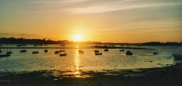 Camping - L'île-Tudy - Bretagne - Le Bois d'Amour - Image #1