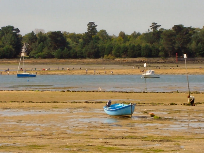 Camping - L'île-Tudy - Bretagne - Le Bois d'Amour - Image #4