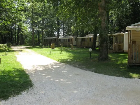 Camping - Antonne-et-Trigonant - Aquitaine - Le Bois de Coderc