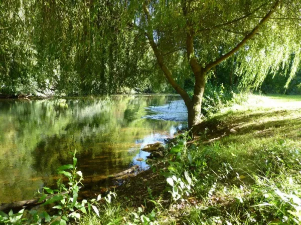 Camping - Antonne-et-Trigonant - Aquitaine - Le Bois de Coderc