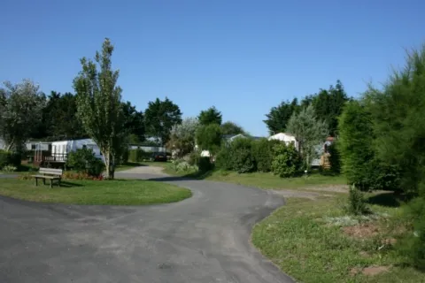 Camping - Cayeux-sur-Mer - Picardie - le Bois des Pins
