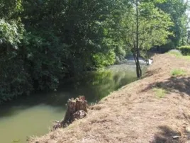 Camping - Illiers Combray - Grand Centre - Le Bois Fleuri