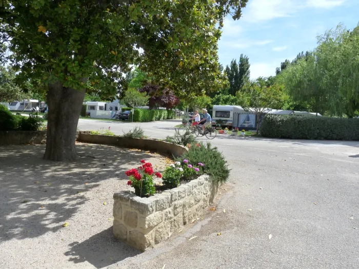 Camping - Aubignan - Provence-Alpes-Côte d'Azur - Le Brégoux