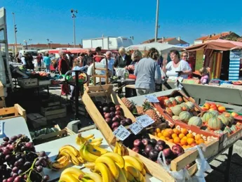 Camping - Torreilles - Languedoc-Roussillon - Le Calypso