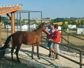 Camping - La Romieu - Midi-Pyrénées - Le Camp de Florence