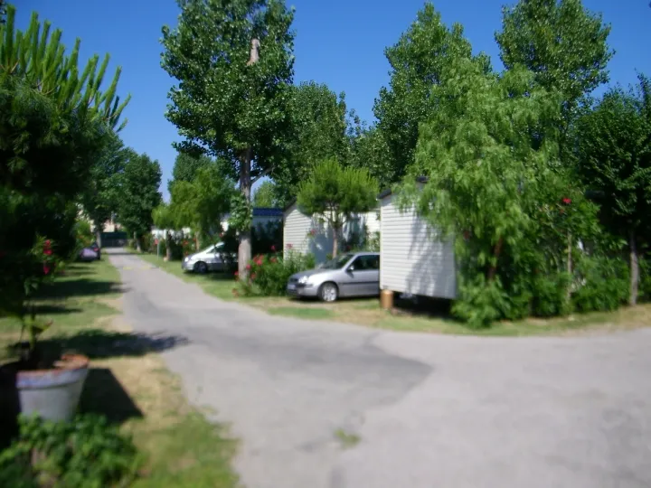 Camping - Argelès-sur-Mer - Languedoc-Roussillon - Le Carrefour