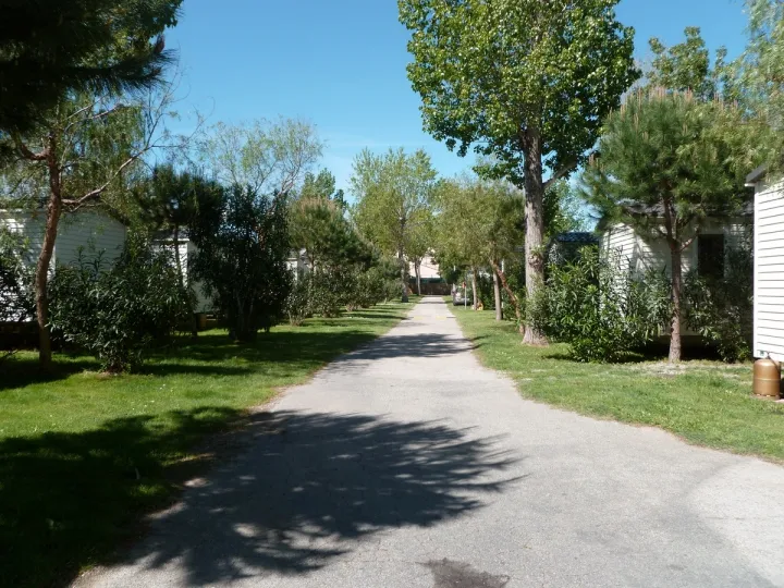 Camping - Argelès-sur-Mer - Languedoc-Roussillon - Le Carrefour