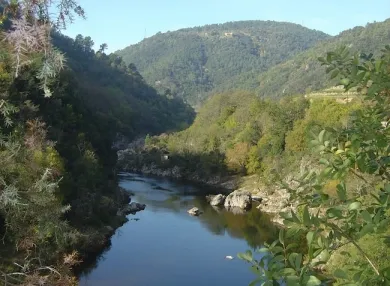 Camping - Saint-Vincent-de-Durfort - Rhône-Alpes - Coeur d'Ardèche