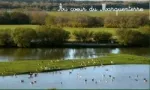 Camping - Saint-Quentin-en-Tourmont - Picardie - Le Champ Neuf