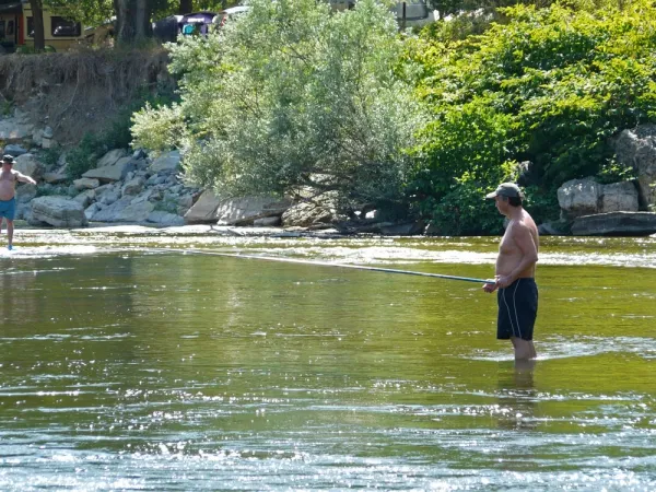 Camping - Saint-Didier-sous-Aubenas - Rhône-Alpes - Le Verger de Jastres