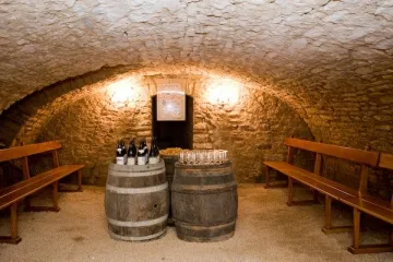 Camping - Gigny-sur-Saône - Bourgogne - Le Château de l'Epervière