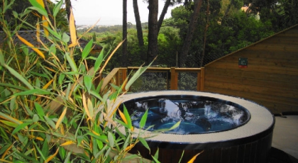 Camping - Hyères - Provence-Alpes-Côte d'Azur - Le Clair de Lune - Image #5