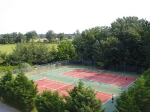 Camping - Argelès-sur-Mer - Languedoc-Roussillon - Le Dauphin