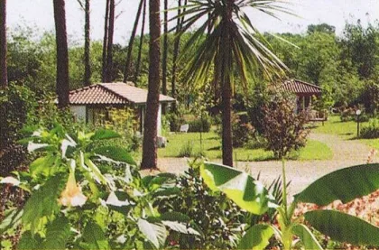 Camping - Herm - Aquitaine - Le Domaine de L'Herminière