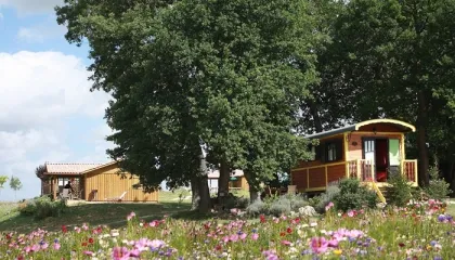 Camping - Pauilhac - Midi-Pyrénées - Le Domaine des Cadets de Gascogne