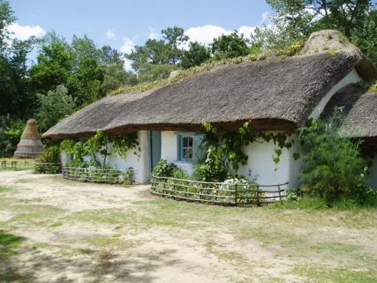 Camping - Saint-Hilaire-de-Riez - Pays de Loire - Le Domaine des Pins