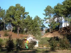 Camping - Saint-Hilaire-de-Riez - Pays de Loire - Le Domaine des Pins