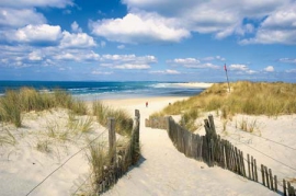 Camping - Saint-Hilaire-de-Riez - Pays de Loire - Le Domaine des Pins - Image #8