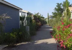 Camping - Gruissan - Languedoc-Roussillon - Le Hameau des Canisses