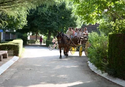 Camping - Rieupeyroux - Midi-Pyrénées - Le Hameau Saint Martial