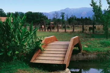 Camping - Palau-del-Vidre - Languedoc-Roussillon - Le Haras