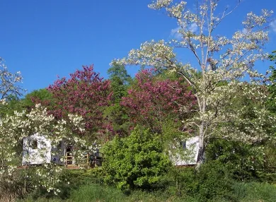 Camping - Marciac - Midi-Pyrénées - Le Lac