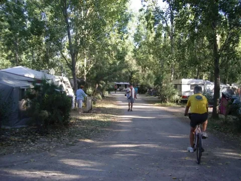 Camping - Sainte Marie la Mer - Languedoc-Roussillon - Le Lamparo