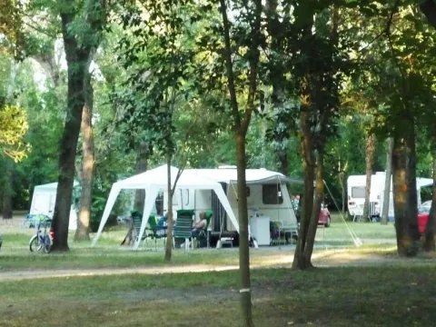 Camping - Bourg-Saint-Andéol - Rhône-Alpes - Le Lion