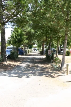 Camping - Brem sur Mer - Pays de Loire - Le Littoral