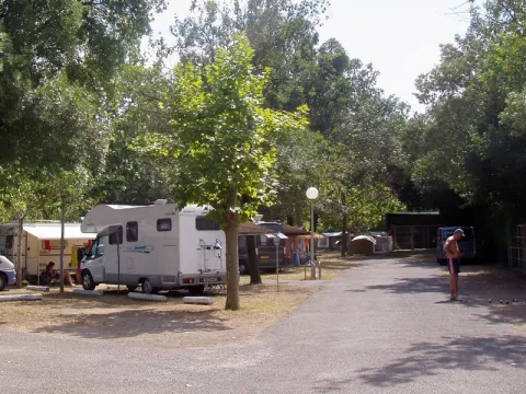 Camping - Antibes - Provence-Alpes-Côte d'Azur - Le Logis de la Brague