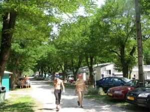 Camping - Tournon sur Rhône - Rhône-Alpes - Maui