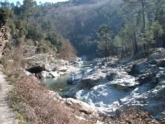 Camping - Saint-Étienne-Vallée-Française - Languedoc-Roussillon - Le Martinet