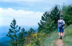 Camping - Saint-Étienne-Vallée-Française - Languedoc-Roussillon - Le Martinet