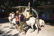 Camping - Martigues - Provence-Alpes-Côte d'Azur - Le Mas