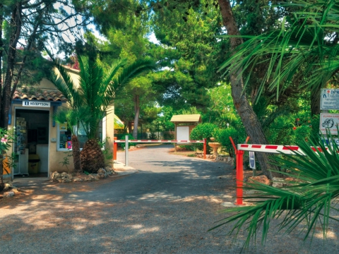 Camping - Balaruc-les-Bains - Languedoc-Roussillon - Le Mas du Padre - Image #1