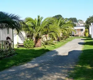 Camping - Trévou-Tréguignec - Bretagne - Le Mat