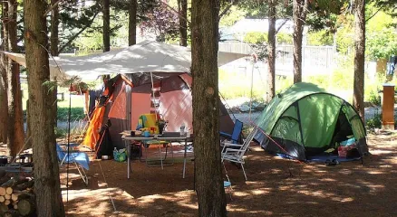 Camping - Vesc - Rhône-Alpes - Le Matin Calme