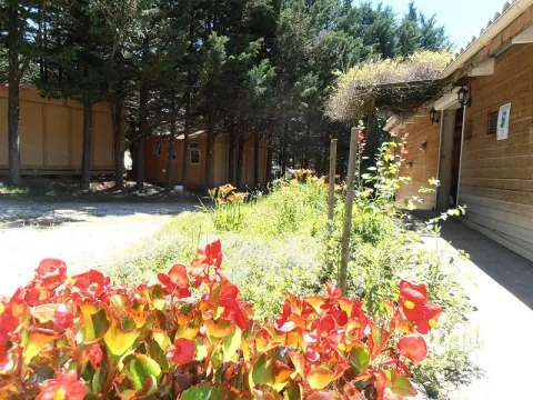 Camping - Vesc - Rhône-Alpes - Le Matin Calme