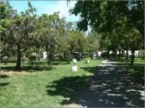 Camping - Moncrabeau - Aquitaine - Le Mouliat