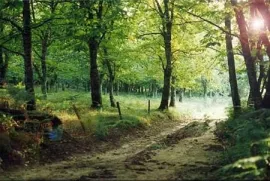 Camping - Prats-du-Périgord - Aquitaine - Le Moulin de la Prade
