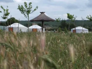 Camping - Ginasservis - Provence-Alpes-Côte d'Azur - Le Moulin d'Espagne