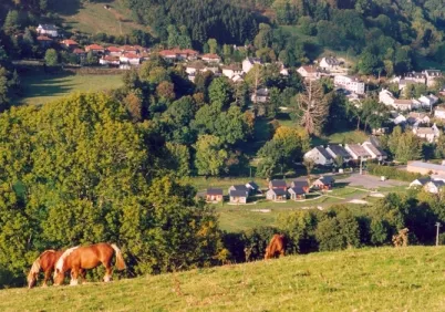 Camping - Saint-Martin-Valmeroux - Auvergne - le Moulin du Teinturier